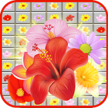 Match Flower