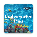 Underwater Pics: Water picture Effects