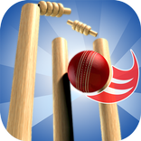 Hit The Wicket