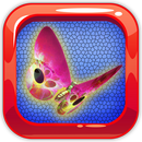 Match 3 Butterfly Games APK