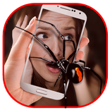 Spider On Body/Face Prank Cam