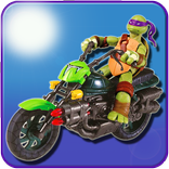 ”Turtle fighters ninja