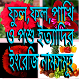 ফুল ফল পশু পাখি শাক- সবজি ইত্য