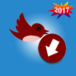 Video Downloader for Twitter