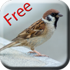Bird Sounds & Ringtones APK