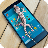 ”Gecko Screen Scary Joke