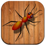 Ant Pop Game
