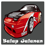 ROAD RACING PRO