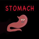 Human Body Stomach Kids Song