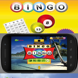 Bingo