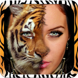 Animals Face Swaper