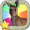 Kangaroo Punch Boxing Game -Android app APK