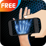 X-Ray bones scanner simulated