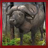 Wild Buffalo Simulator