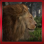 Lion 3D Simulation