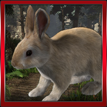 Bunny Hop Simulator