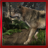 The Wolf Simulator
