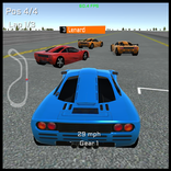 ”Fast Race Simulator 3D