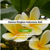 Kamus Ringkas Bahasa Bali APK