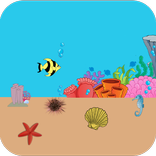 Sea Jewels