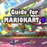 Guide for Mario Kart 8