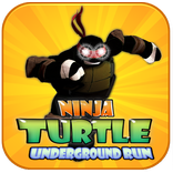 Ninja Turtle Underground run