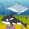 Shark Feed APK