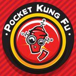 Pocket Kung Fu Robot