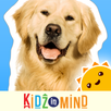 My First Dictionary - KIM APK
