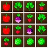 Veggie Crush