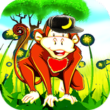 Funny Monkey