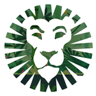 Wild Leo Game icon