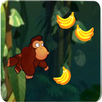 Kingkong The Junggle APK