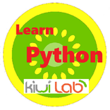 Learn Python - Kiwi Lab