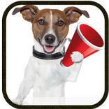 Dog Sounds