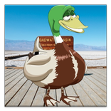 Talking Duck