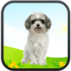 Real Talking Puppy APK