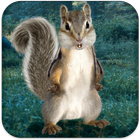 Real Talking Squirrel icon