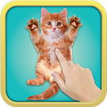 Tickle Cat