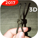 Knots 3D