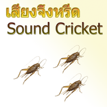 Cricket Cricket HD