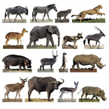 Learn The Animals