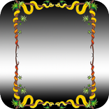 ”Photo frame