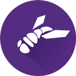 Wallfly