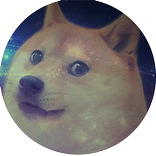 Spring Doge