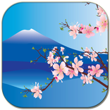 櫻花