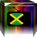 TVJ TV