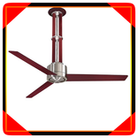 ceiling fan with light