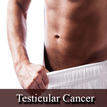 Testicular