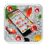 Tema Ikan Koi 3D